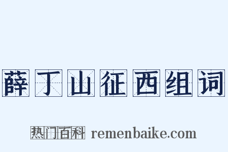 薛丁山征西组词是什么意思的图片